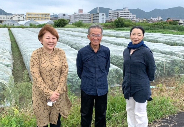 防虫ネットの枝豆畑